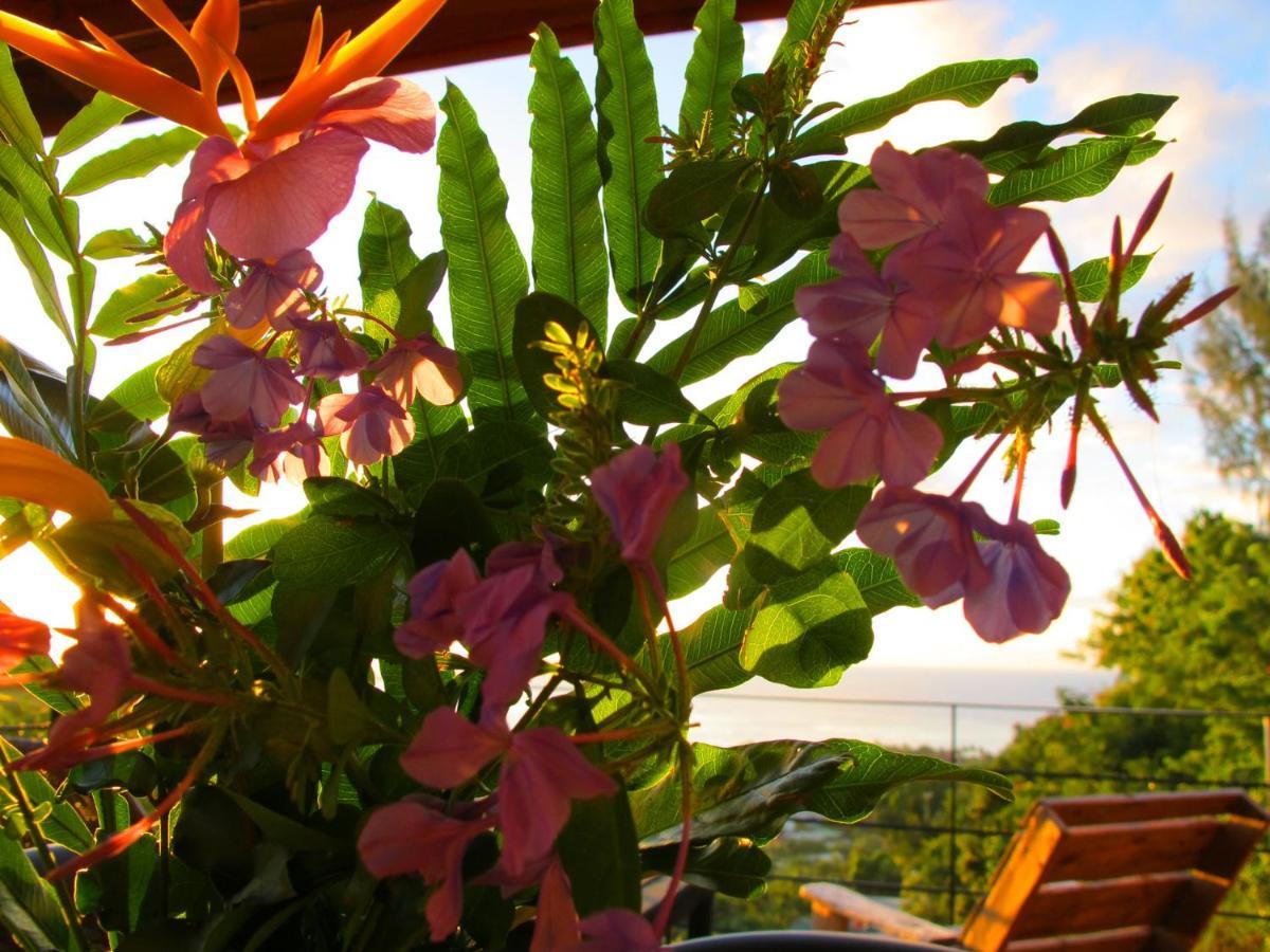 Bounty Lodge Tahiti Arue  Exterior photo